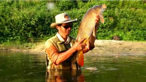 Très belle vidéo de pêche de la carpe à la mouche !