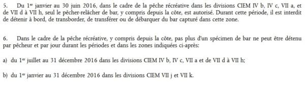 La pêche récréative du bar en france