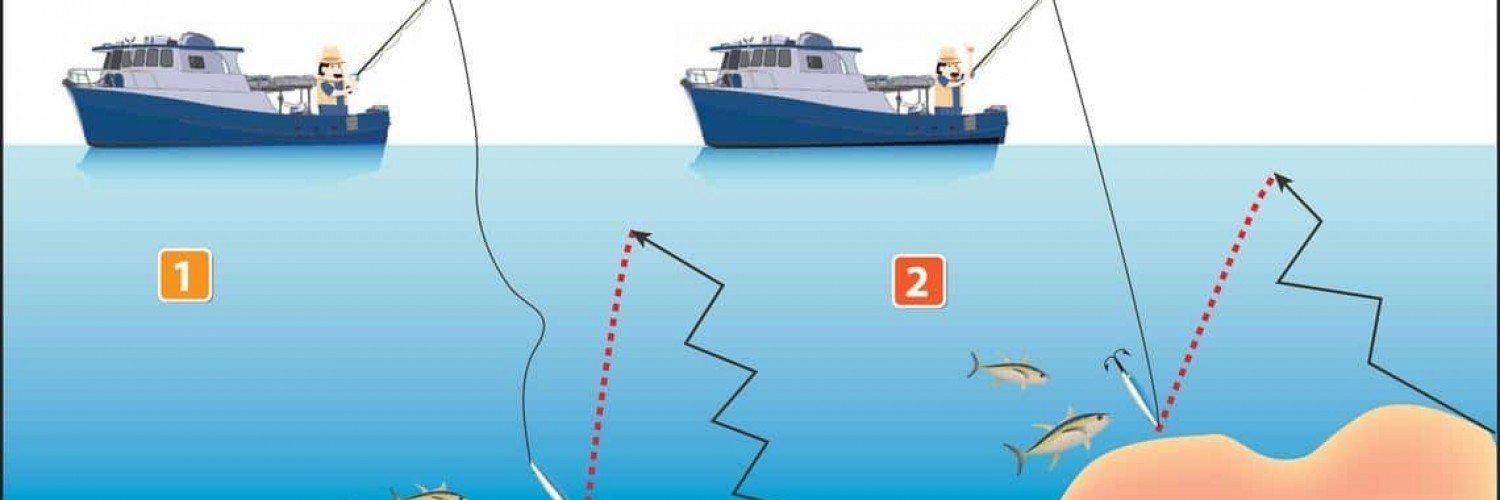 comment pratiquer la pêche au jig ou le jigging !